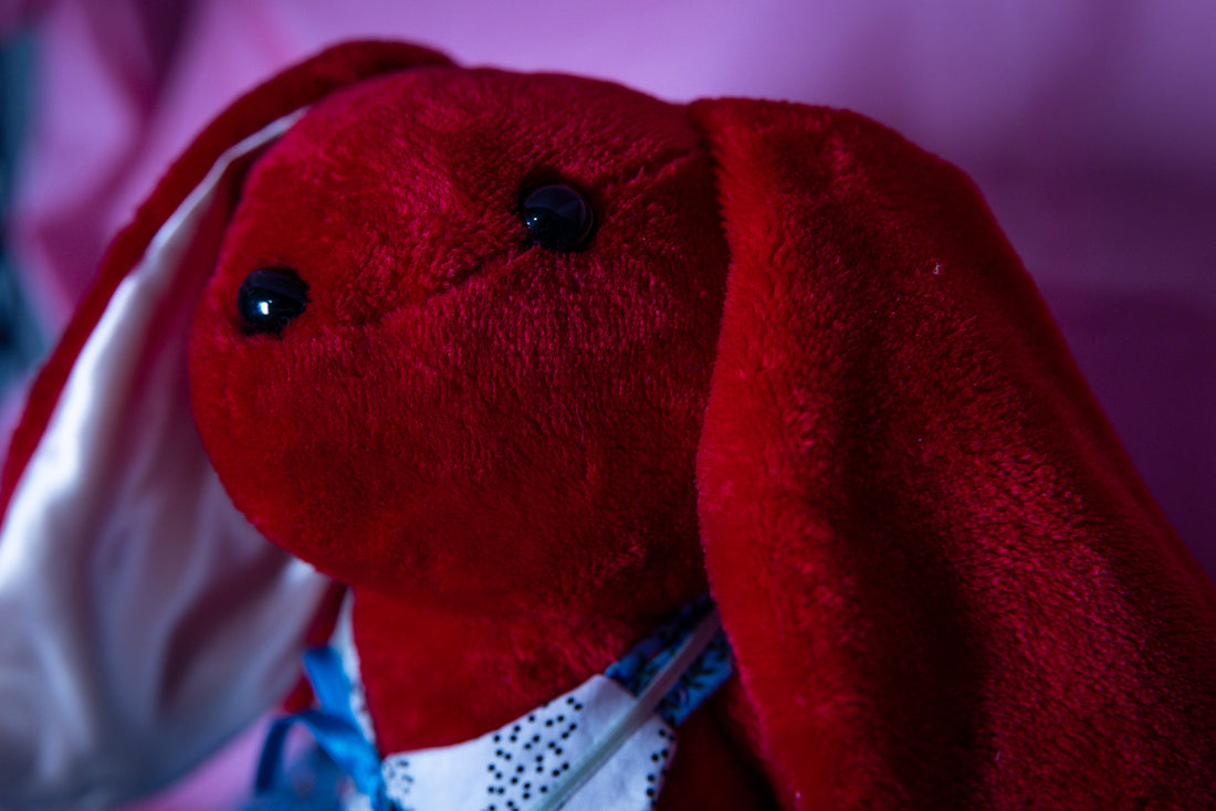 Ruby the Red Bunny - Carrot Cuddler
