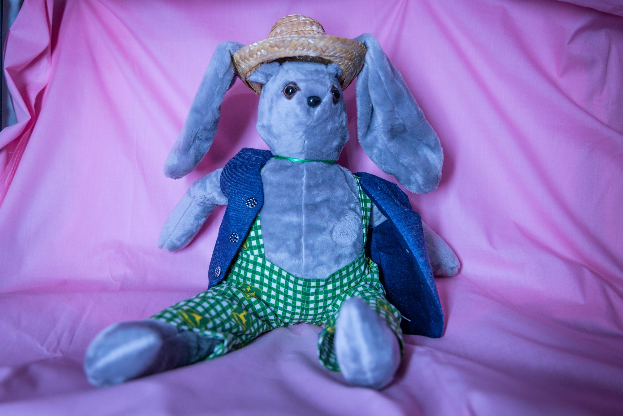 Starlight Sammy - The Dapper Bunny