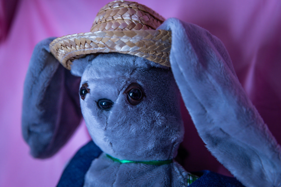 Starlight Sammy - The Dapper Bunny