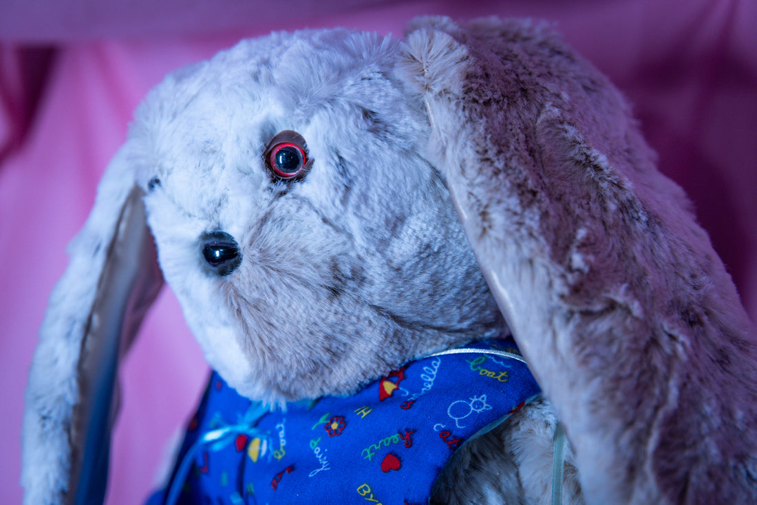 Benny the Bibbed Bunny - Carrot Companion