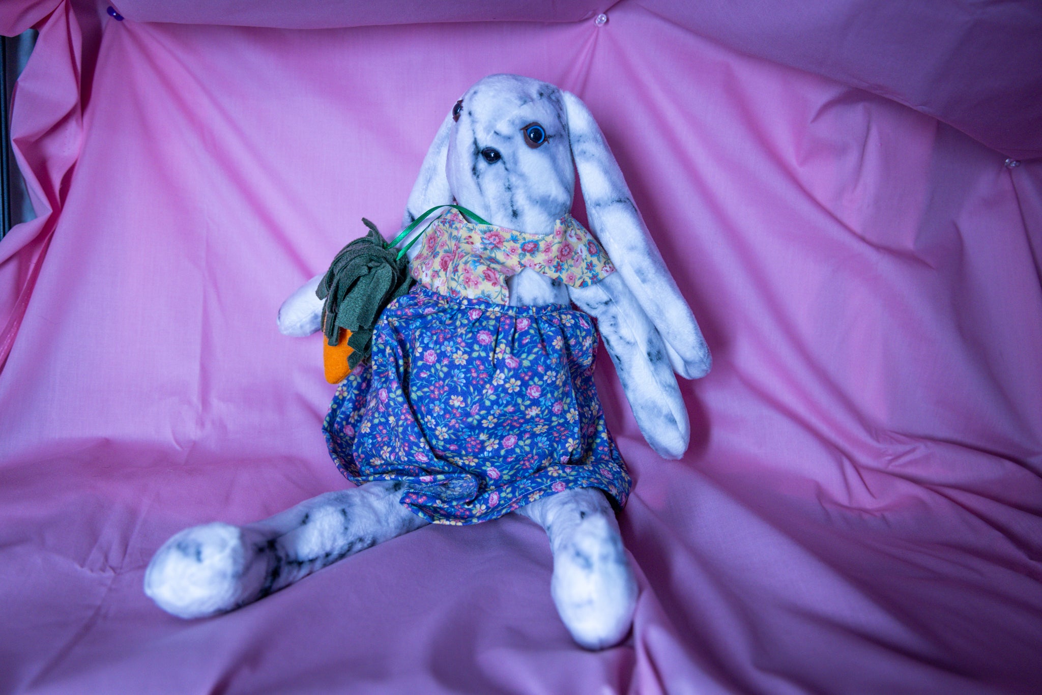 Gracie the Graceful Bunny - Carrot Charmer