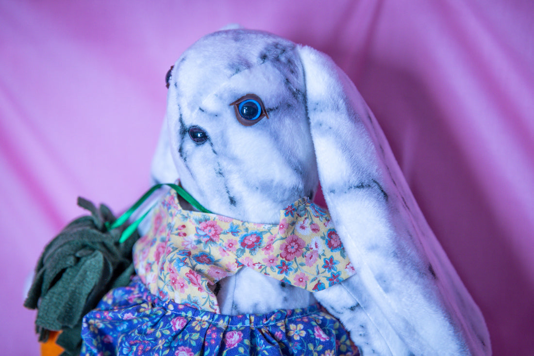 Gracie the Graceful Bunny - Carrot Charmer