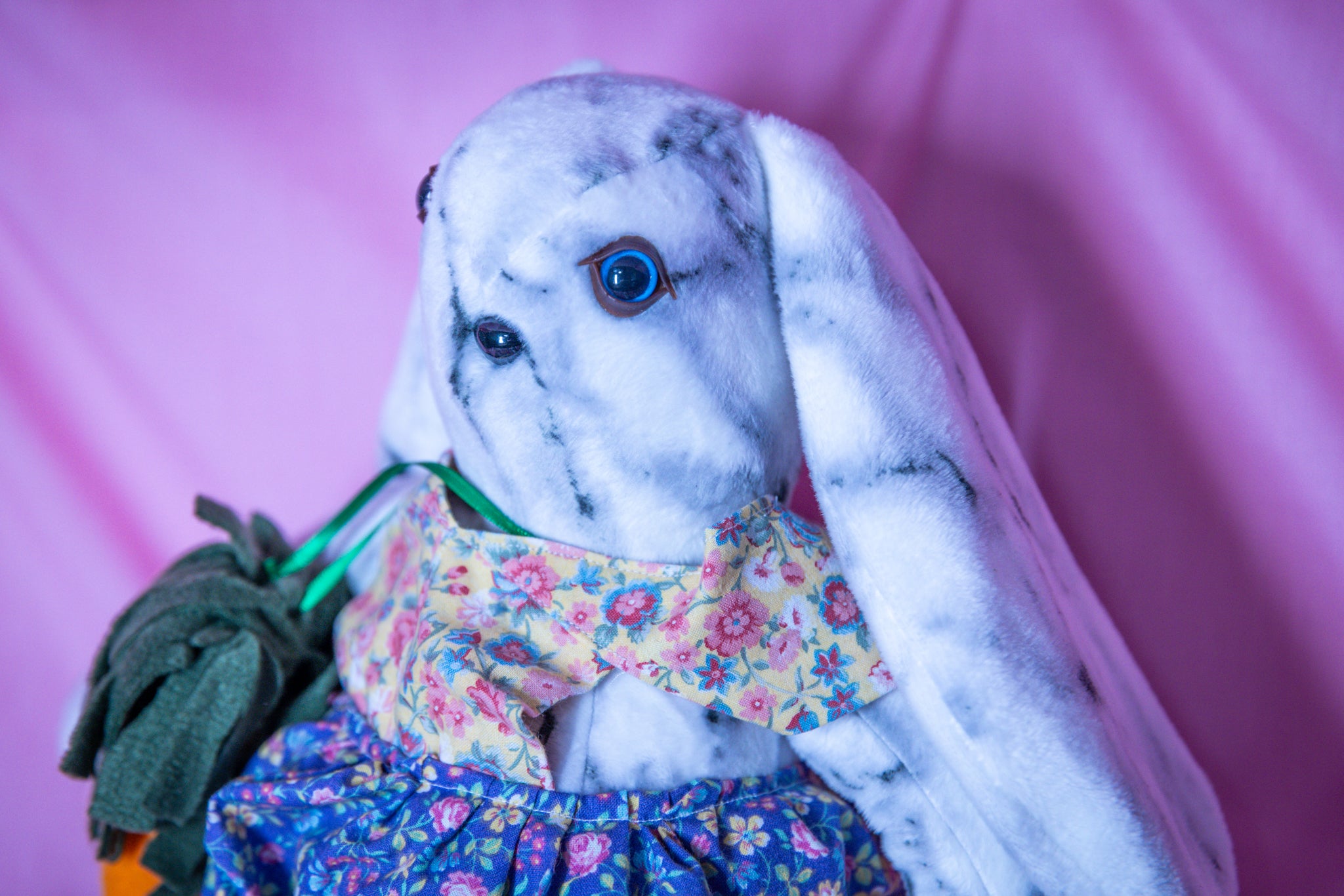 Gracie the Graceful Bunny - Carrot Charmer