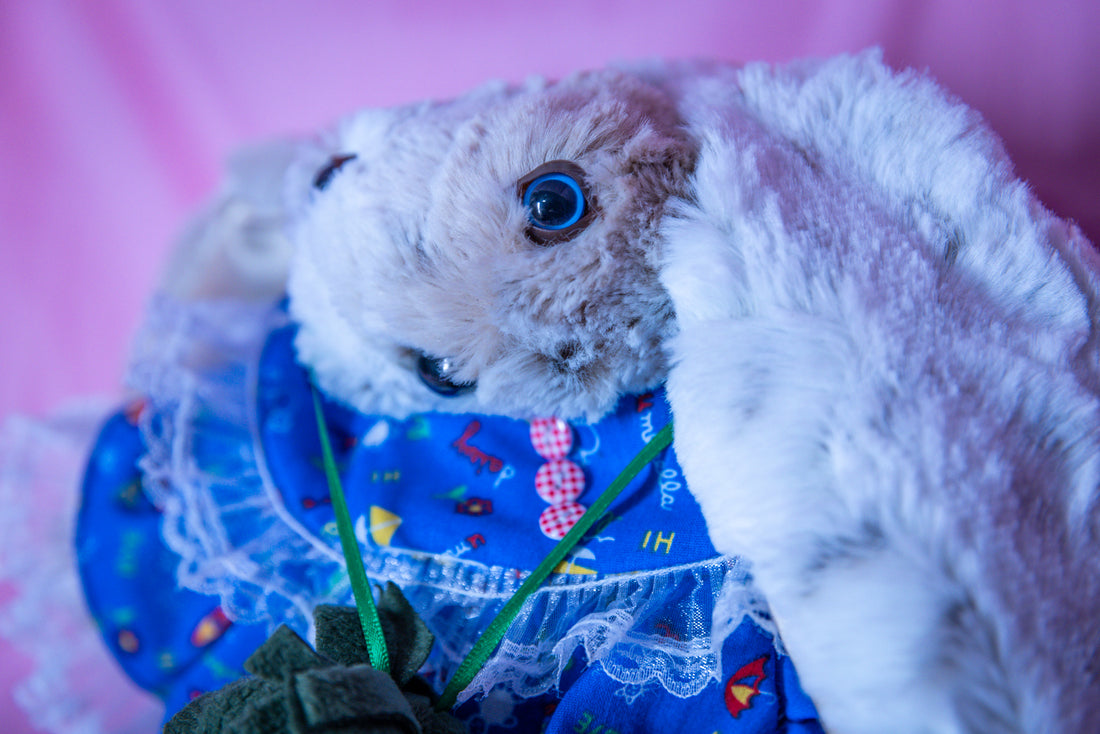 Fluffy Fiona - The Dreamy Bunny in Blue
