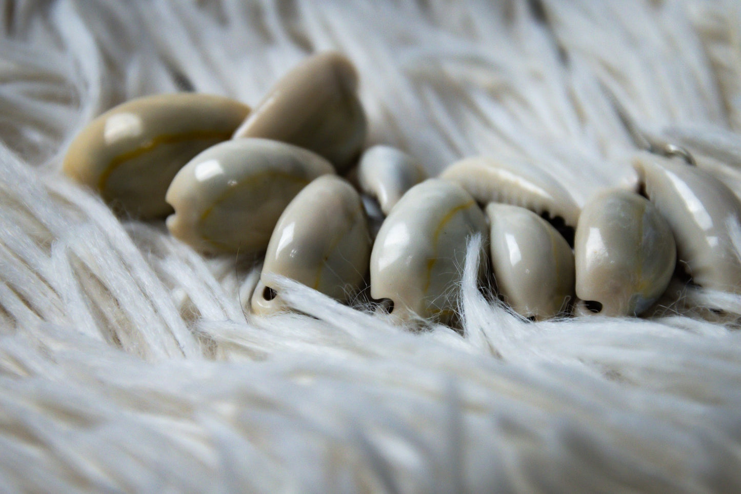 Luxury Sea Shell Necklace, Earring, and Bracelet Set