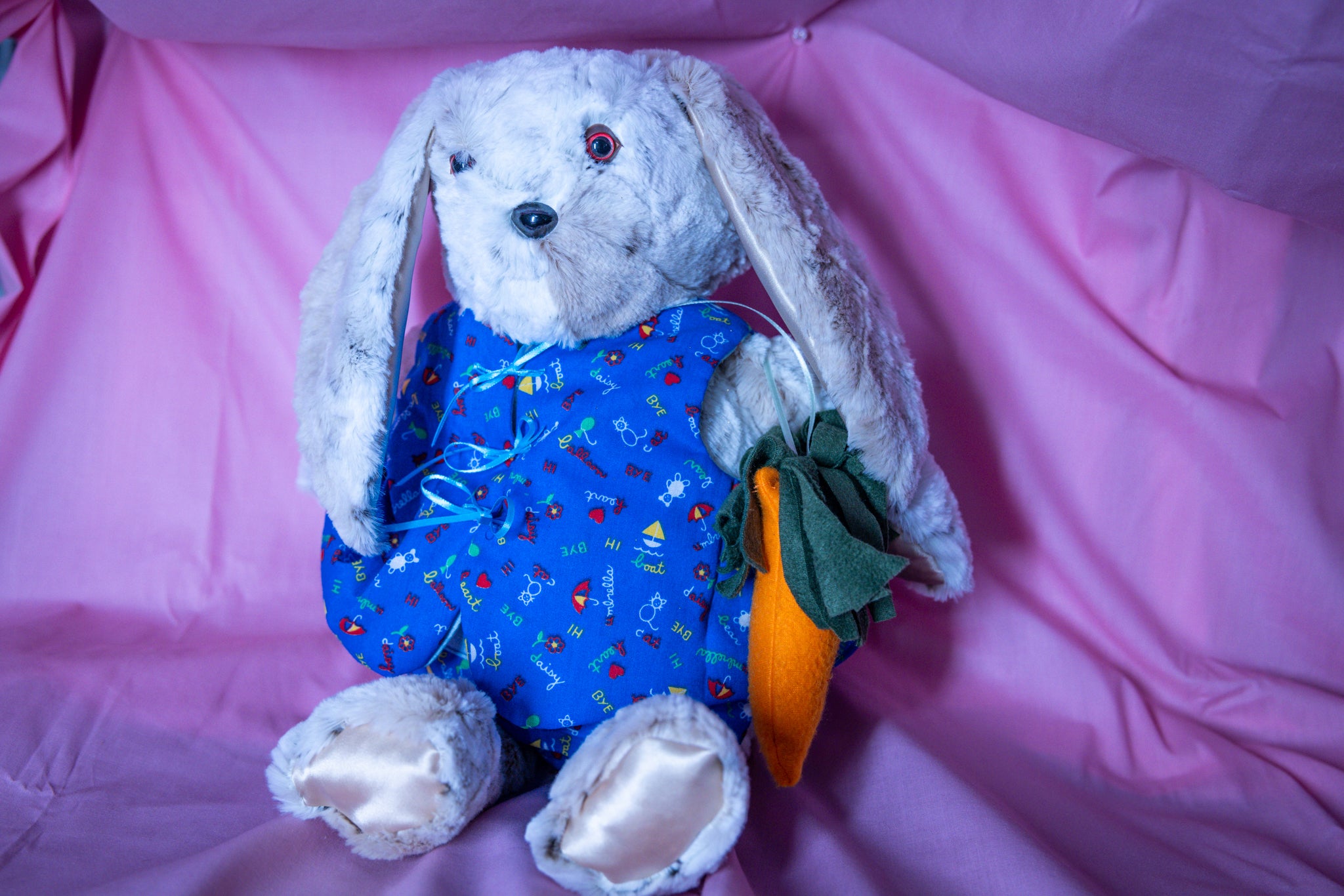 Benny the Bibbed Bunny - Carrot Companion